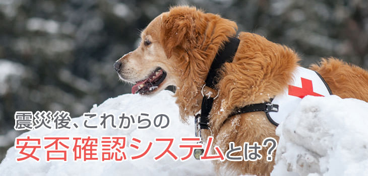 震災後、これからの安否確認システムとは?